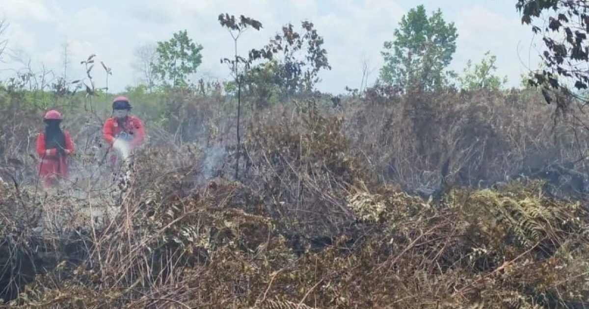 ​Karhutla Dekat Bandara Singkawang Berhasil Dipadamkan