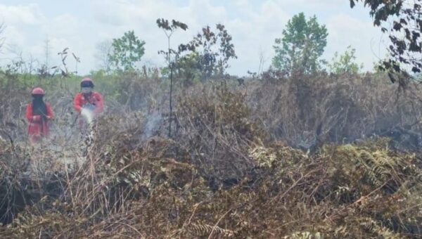 ​Karhutla Dekat Bandara Singkawang Berhasil Dipadamkan
