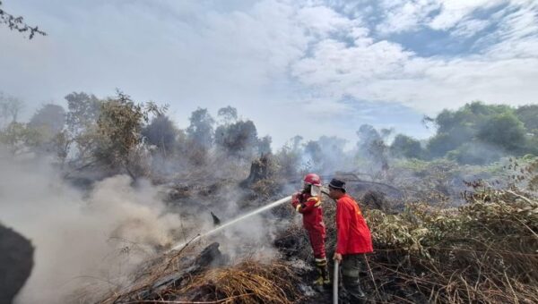 Hadapi El Nino, Kubu Raya Antisipasi Karhutla