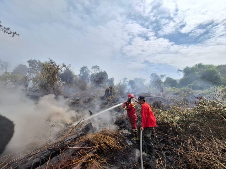 Hadapi El Nino, Kubu Raya Antisipasi Karhutla