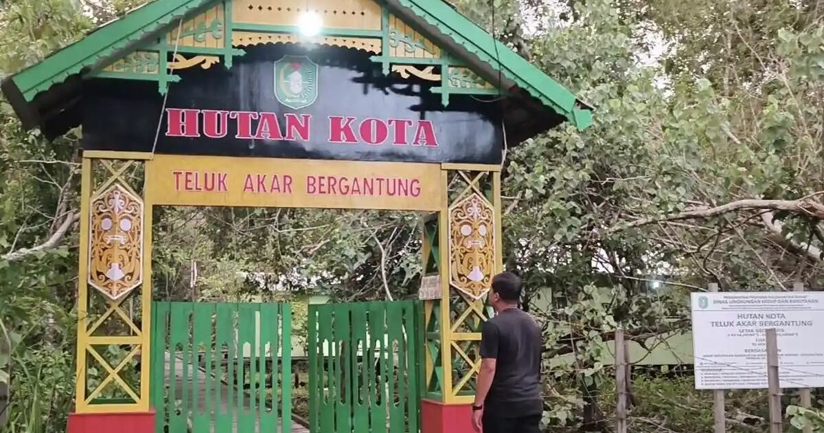 Hutan Kota Ketapang Rusak, Warga Harap Perbaikan