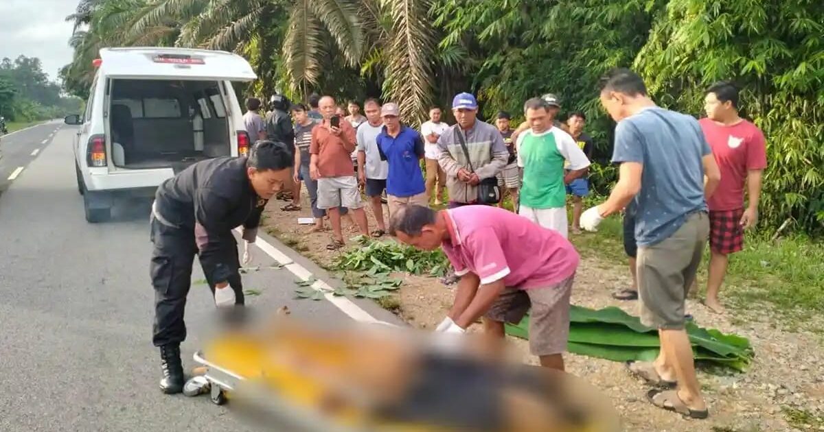 Polisi Selidiki Tabrak Lari Maut di Parindu
