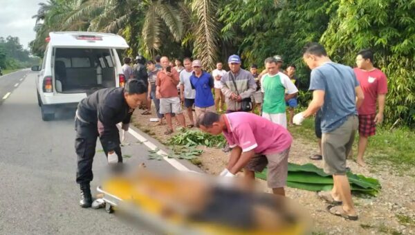 Polisi Selidiki Tabrak Lari Maut di Parindu