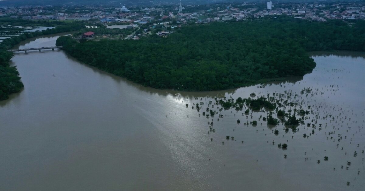 Kemenhut Buka Peluang Investasi Karbon Hutan