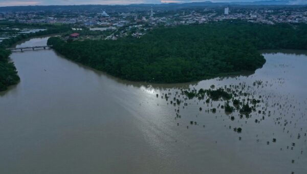 Kemenhut Buka Peluang Investasi Karbon Hutan