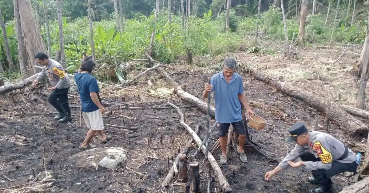 Kapolsek Sebangki dan Warga Tanam Jagung Bersama