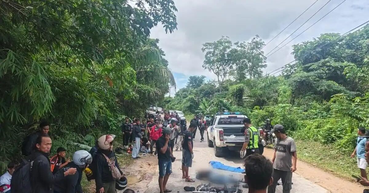 Tabrakan Beruntun di Sekadau, Pemotor Tewas di Tempat