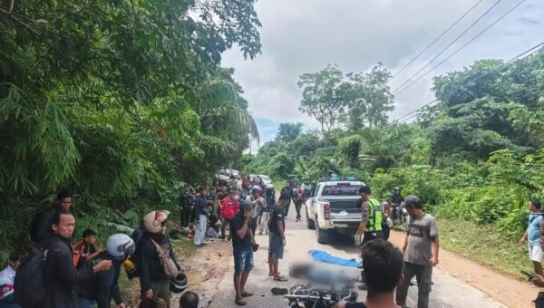 Tabrakan Beruntun di Sekadau, Pemotor Tewas di Tempat