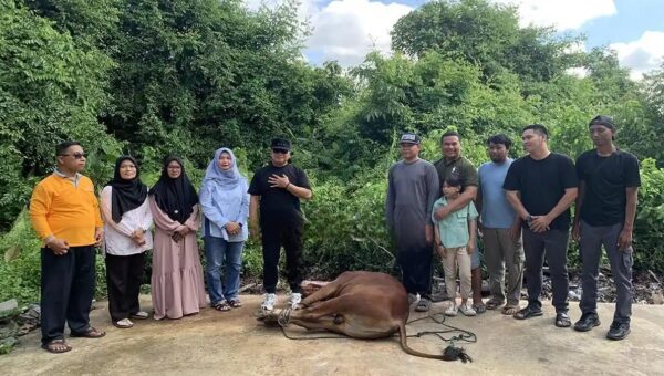 Pemkab Kubu Raya Kurban 23 Sapi Tanpa Dana APBD