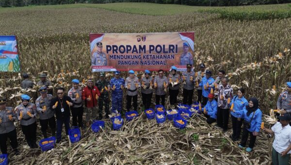 Bid Propam Polda Kalbar beserta Polres Bengkayang Gelar Panen Raya Jagung Kuartal II.