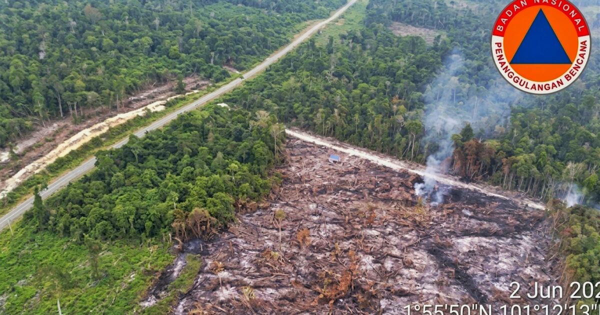 Karhutla Kembali Melanda Paloh, Tiga Hektare Lahan Terbakar