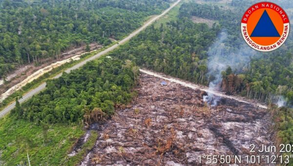 Karhutla Kembali Melanda Paloh, Tiga Hektare Lahan Terbakar