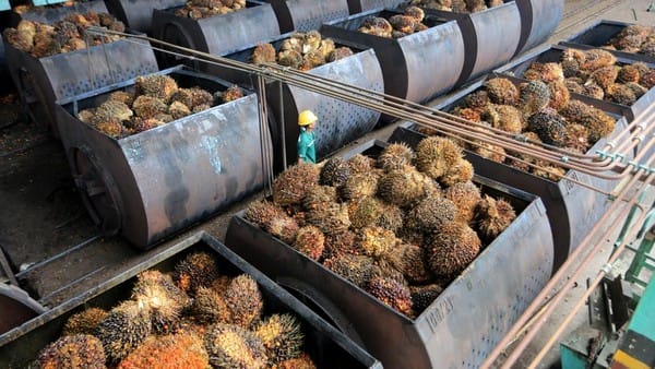 Bupati Ketapang Larang Pabrik Sawit Tetapkan Harga Sepihak