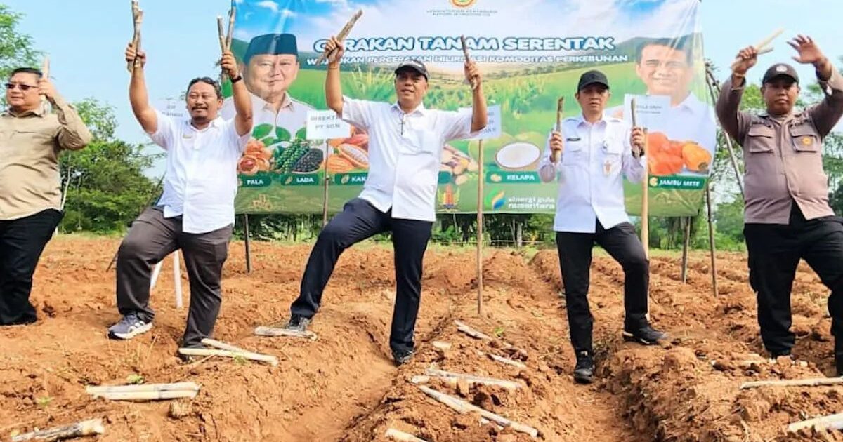 Kementan Percepat Tanam Tebu untuk Swasembada Gula